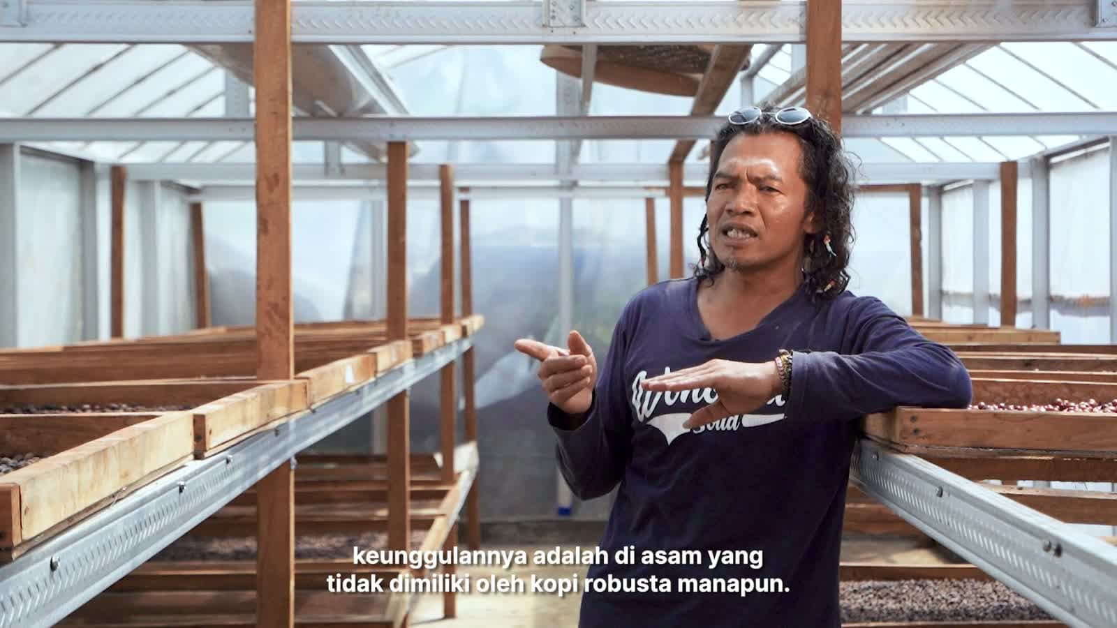 Biji kopi robusta honey yang siap diolah