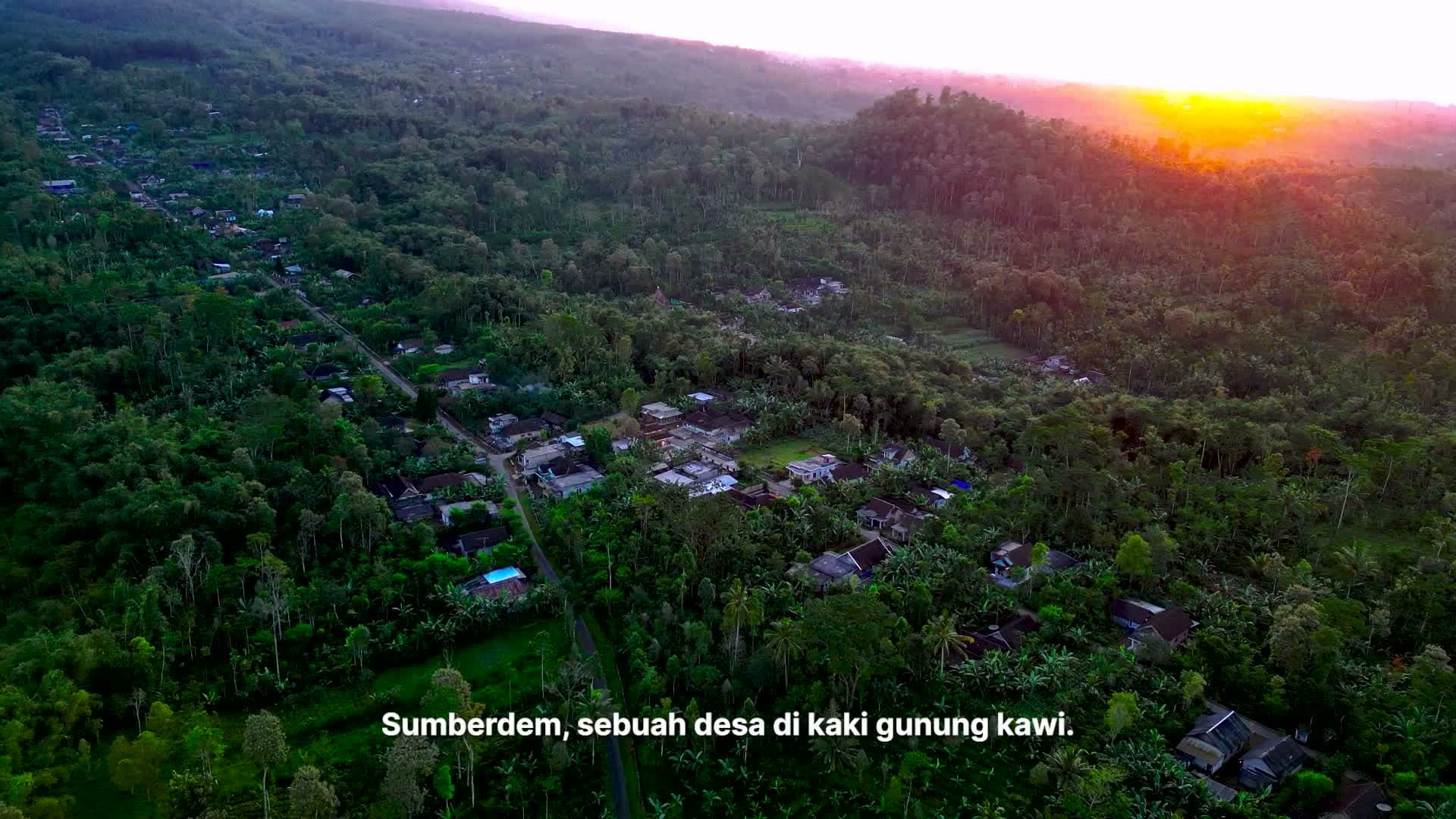 Kebun kopi Sumberdem di kaki Gunung Kawi